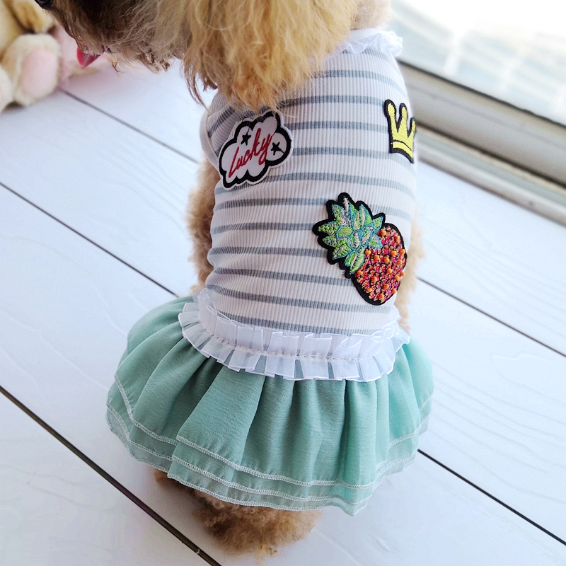 강아지용 반려동물 드레스, 작은 작은 핑크 그린 블루  - Baby Clothing Sale 리뷰 및 가격